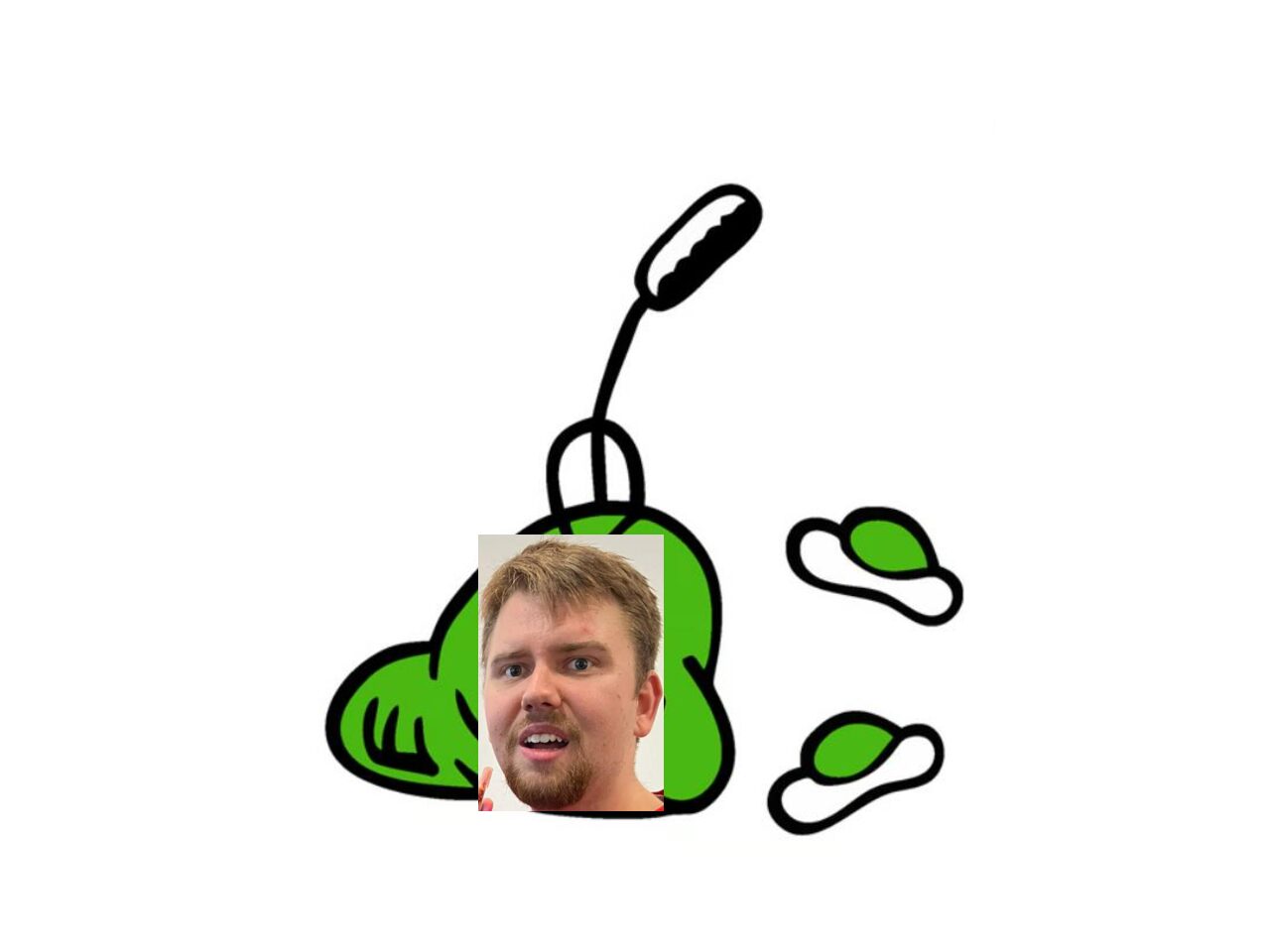 Green Eggs and Graham